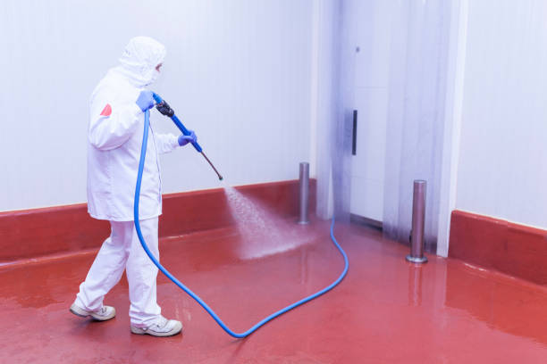 Professional Pressure Washing in Sweetwater, TN